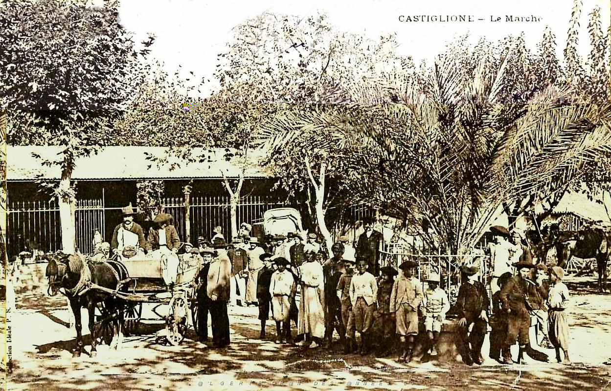 733- Castiglione - le marche.jpg